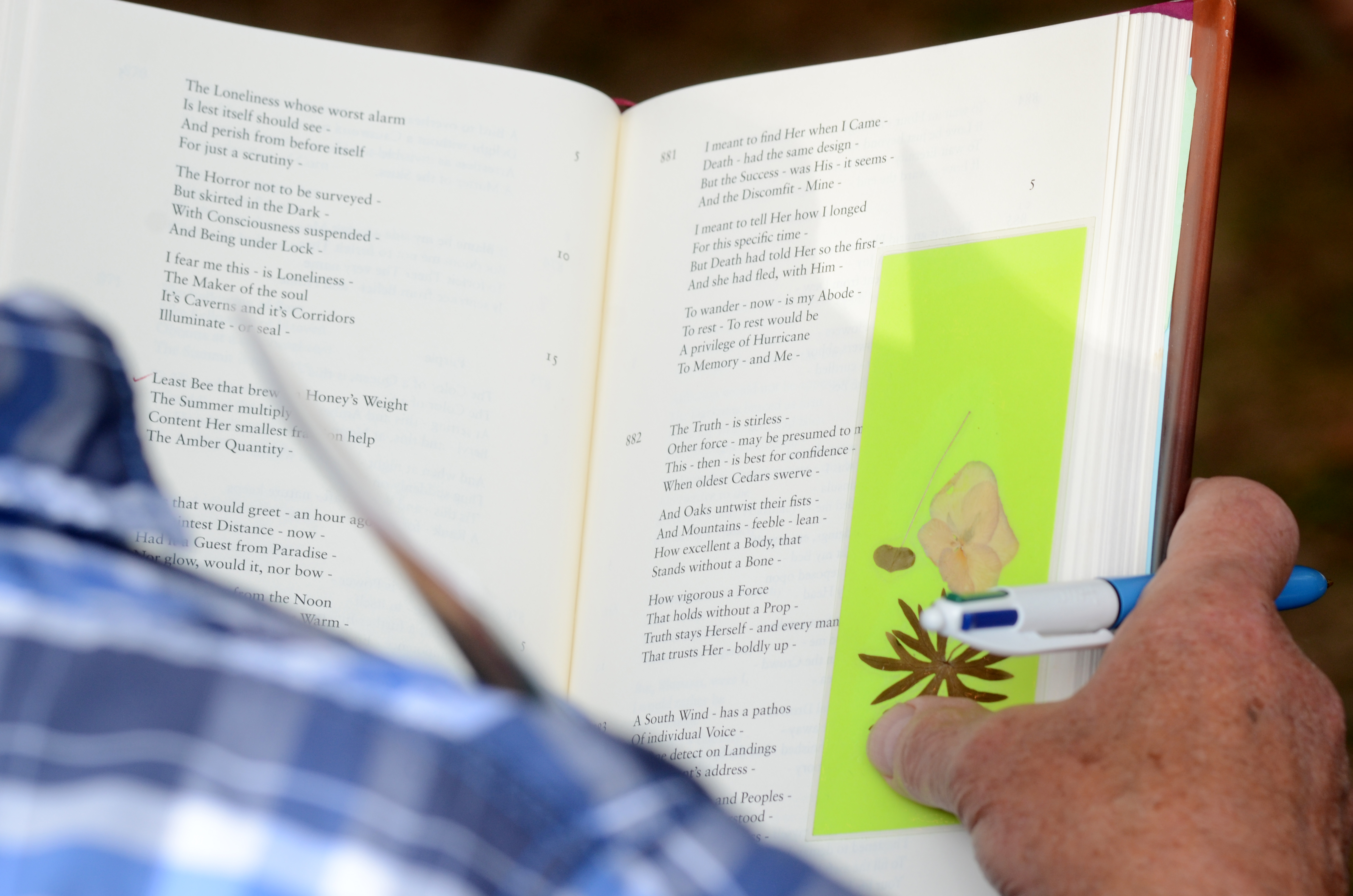 A book of Emily Dickinson's poetry being held open by someone reading