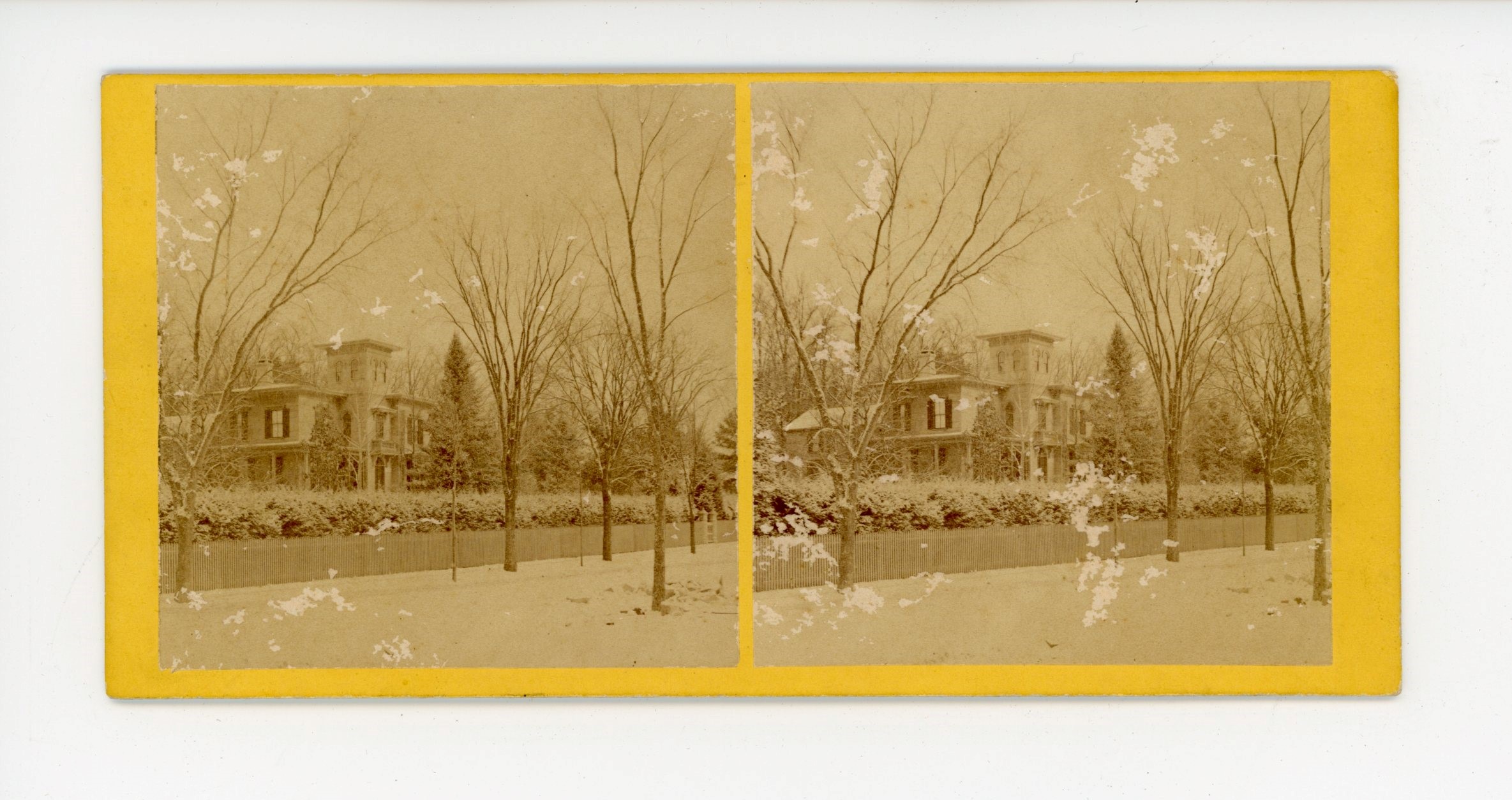 Black and white stereograph card showing a view of the Evergreens in winter.