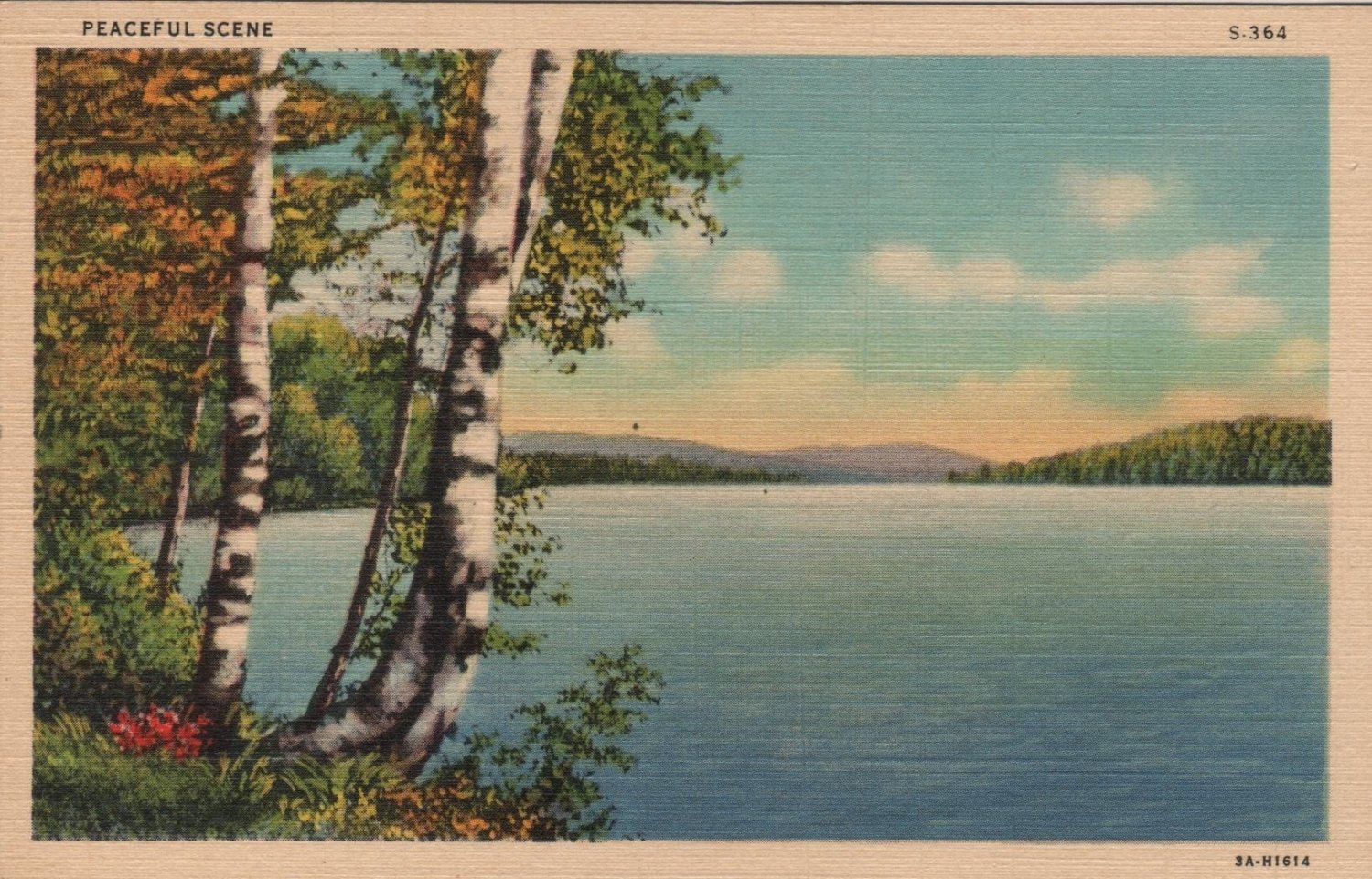 test postcard - a scene in Maine