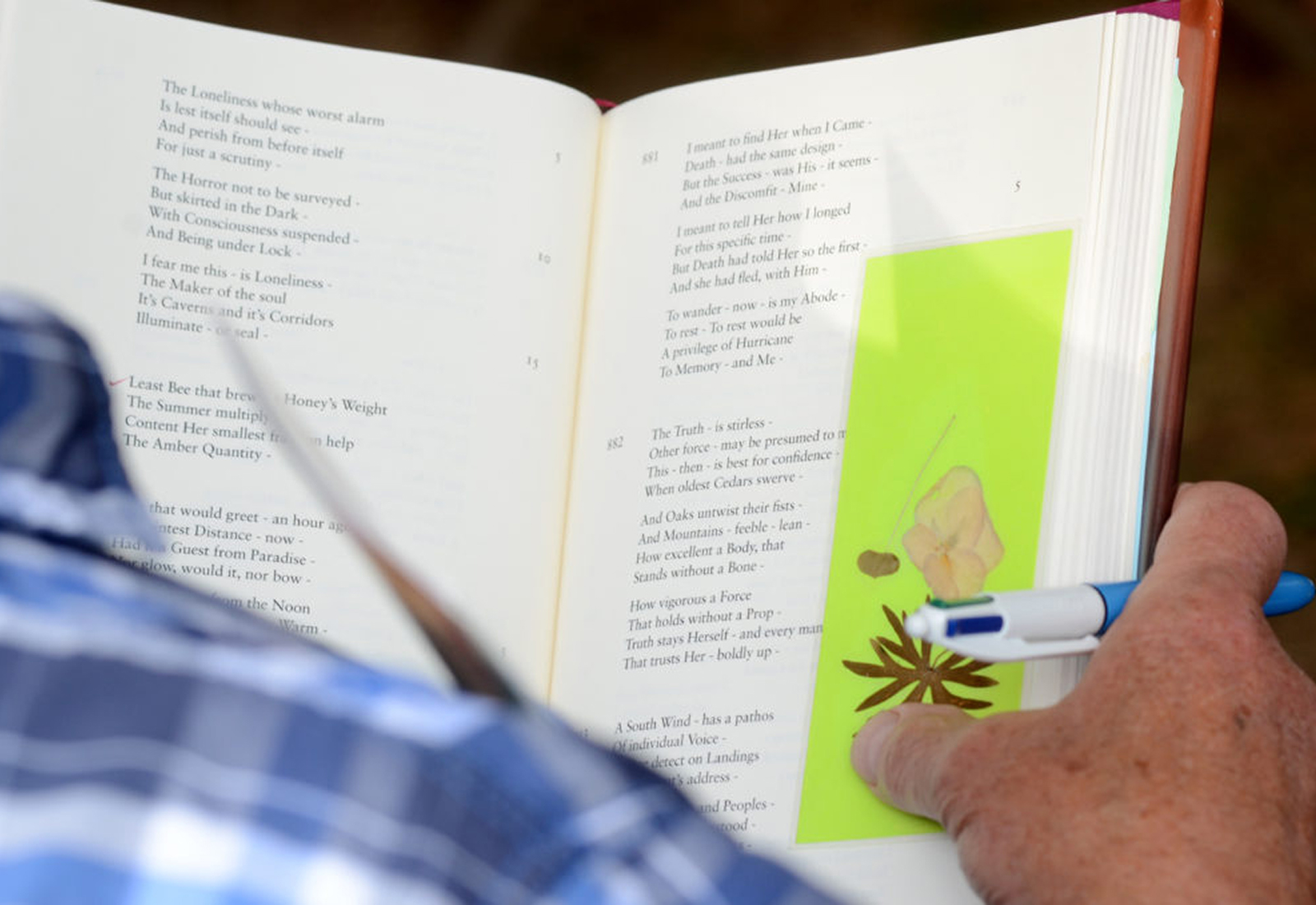 A book of Emily Dickinson's poetry being held open by someone reading