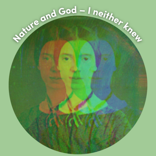 graphic delve into dickinson - Nature and God – I neither knew